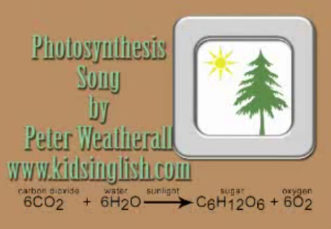 song photosynthesis